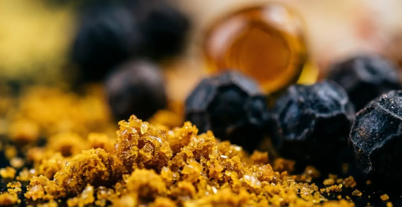 Representation visuelle des elements cles pour la biodisponibilite du curcuma chez le chien